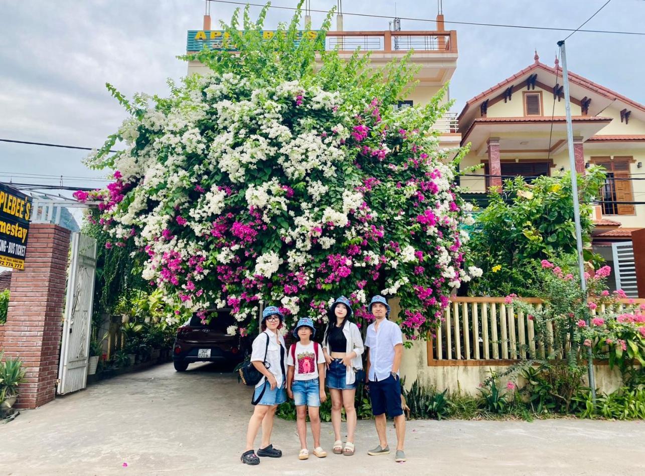 Applebee'S Homestay Phong Nha Extérieur photo